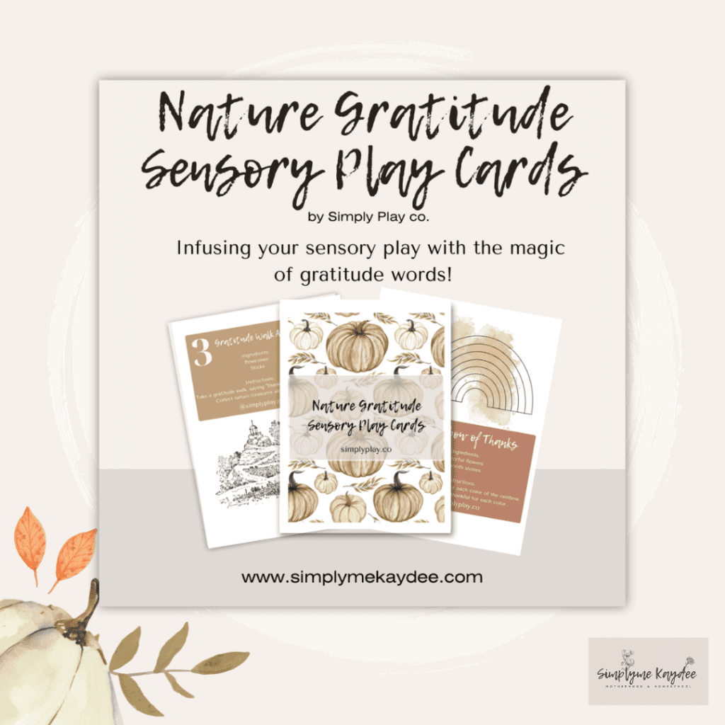 Nature Gratitude Sensory Play Cards